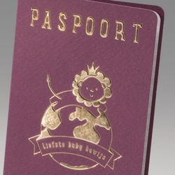 Paspoort en ID-kaart geboortekaartjes - geboortekaartje 715119