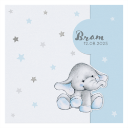 Bram - Schattig olifantje onder zilveren sterrenhemel jongen