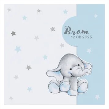 Geboortekaartje Bram - Schattig olifantje
