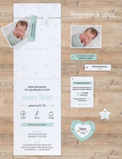 Geboortekaartjes met labeltjes - geboortekaartje 717034
