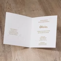 Olivier - Lief geboortekaartje op parelmoer papier met goudaccenten