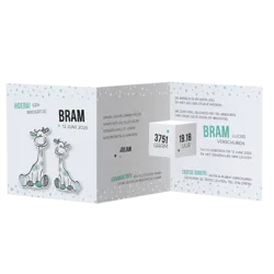 Bram - Girafje