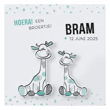 Bram - Girafje