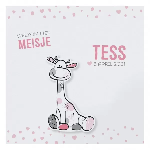 Tess - Drieluik geboortekaartje met girafjes applicatie