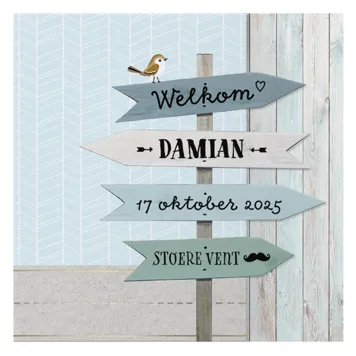 Damian - Wegwijzer