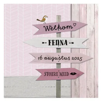 Fenna - Wegwijzer roze