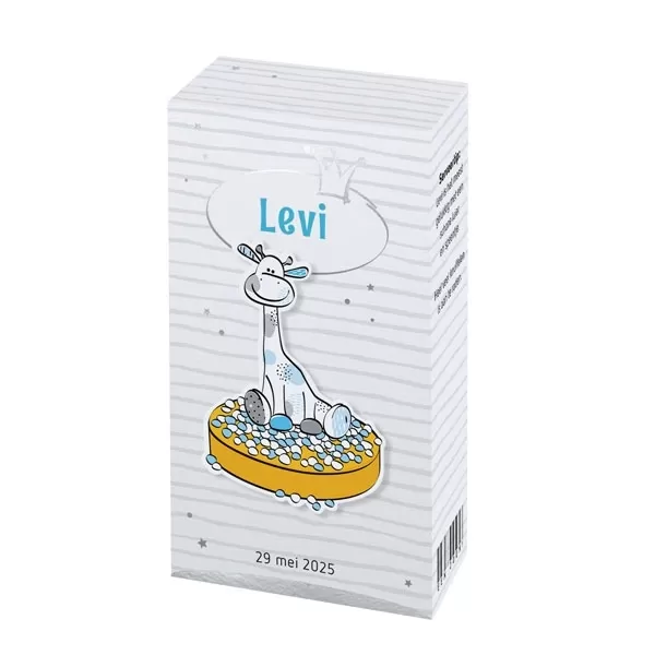 Levi - Doosje met muisjes jongen