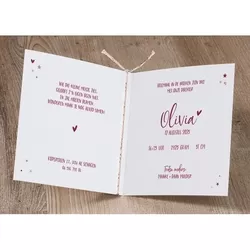 Olivia - Bordeauxrode regenboog