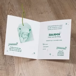 Benjamin - In de jungle