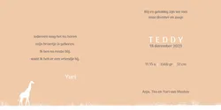 Geboortekaart Teddy - Cirkel met giraf