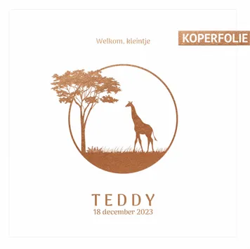 Geboortekaart Teddy - Cirkel met giraf