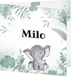 Geboortekaartje Milo - Olifant in de jungle