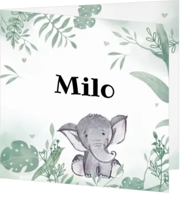 Geboortekaartje Milo - Olifant in de jungle
