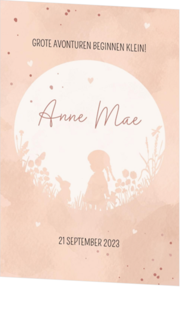 Pastel roze geboortekaartje Anne Mae - Meisje op avontuur