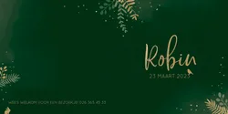 Geboortekaart Robin - Gouden takjes