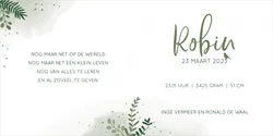 Geboortekaart Robin - Gouden takjes