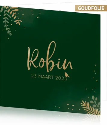 Geboortekaart Robin - Gouden takjes