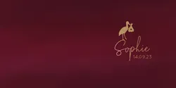 Geboortekaartje Sophie - Gouden Ooievaar