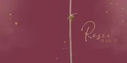 Geboortekaart Rosie - Made with love