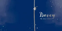 Geboortekaart Davey - Made with love