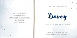 Geboortekaart Davey - Made with love