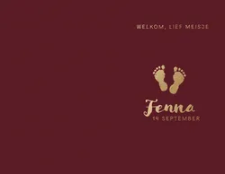 Geboortekaart Fenna - Gouden voetjes