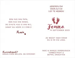 Geboortekaart Fenna - Gouden voetjes