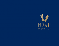Geboortekaartje Noah - Gouden voetjes