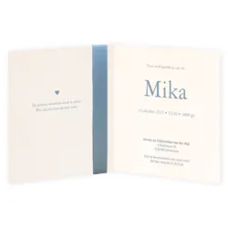 Klassiek met lint - Mika