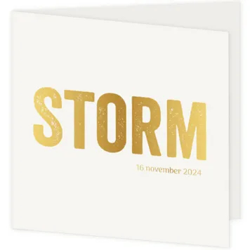 Geboortekaartje goudfolie Storm