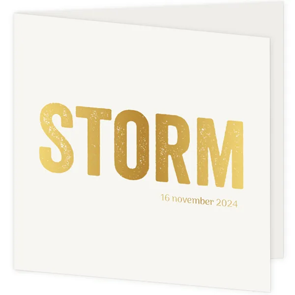 Geboortekaartje goudfolie Storm