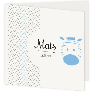 Geboortekaartje zebra Mats