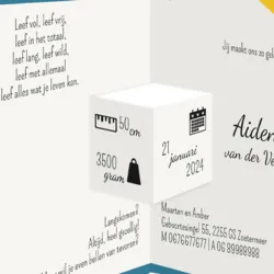 Geboortekaart drieluik papegaai kleuren foto