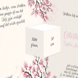Geboortekaart drieluik bloesem roze