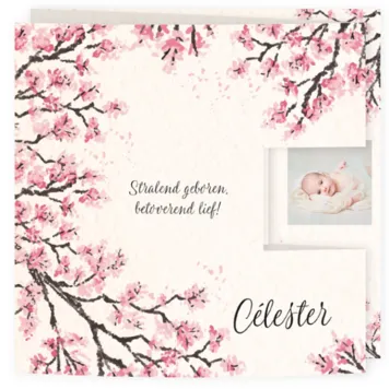 Geboortekaart drieluik bloesem roze