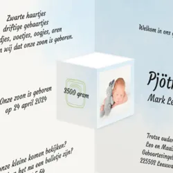 Geboortekaart drieluik boerderij jongen