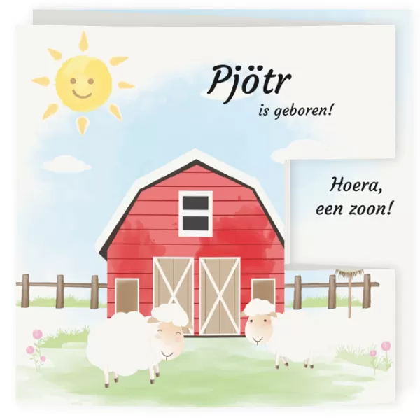 Geboortekaart drieluik boerderij jongen