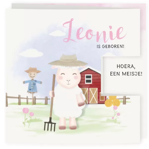 Geboortekaart drieluik boerderij meisje
