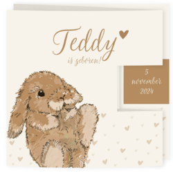 Geboortekaartje drieluik getekend konijntje Teddy