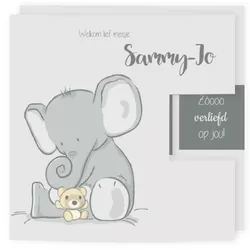 Geboortekaartje drieluik olifantje met beertje Sam
