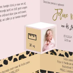 Geboortekaartje panterdrieluik meisje roze