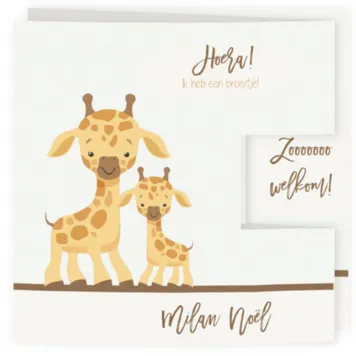 Geboortekaartje drieluik girafje met sterretjes
