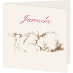 Slapende baby (Janneke)