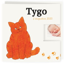 Geboortekaartjes in de kleur Geel / Oranje - geboortekaartje DDG33