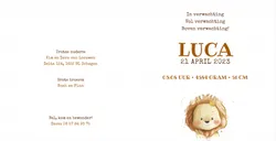 Geboortekaartje Luca - Lief leeuwtje met goudfolie