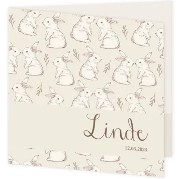Overal konijntjes