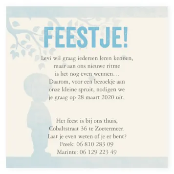 Klassieke babyborrel met silhouet jongen