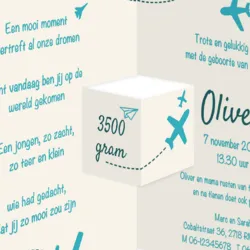 Drieluik met vliegtuigjes