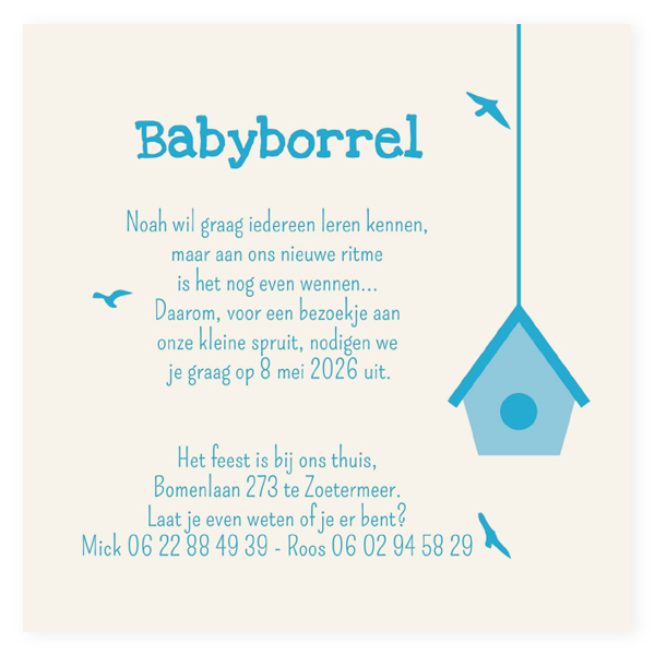 Babyborrel kaartjes & Kraamfeest uitnodigingen - geboortekaartje KB370-J