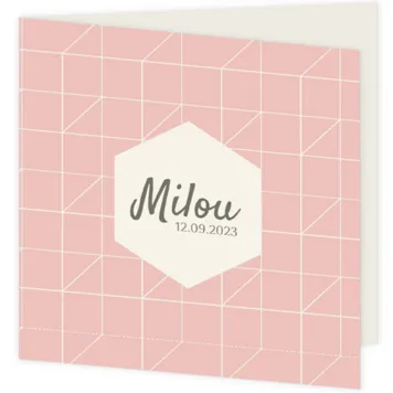 Kubussen - Milou